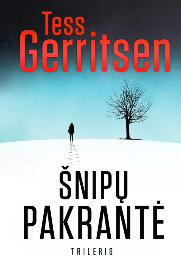 Gerritsen T. Šnipų pakrantė