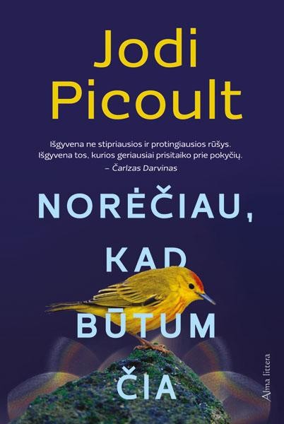 Picoult J. Norėčiau, kad būtum čia