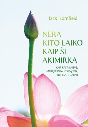 Kornfield J. Nėra kito laiko kaip ši akimirka