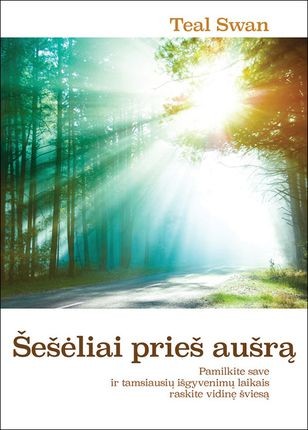 Swan T. Šešėliai prieš aušrą: pamilkite save ir tamsiausių išgyvenimų laikais raskite vidinę šviesą